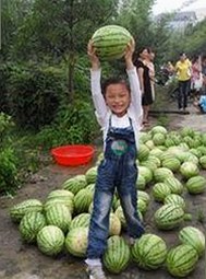 上海二中张越老师涉嫌不当关系引热议