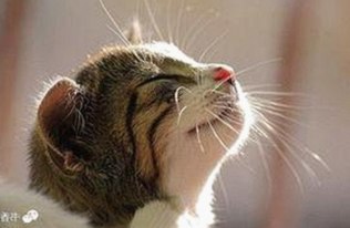 上海二中张越老师涉嫌不当关系引热议