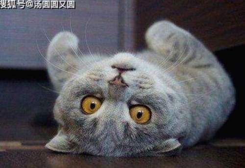 娱乐圈反转大戏：绯闻背后的真相与热门吃瓜账号盘点