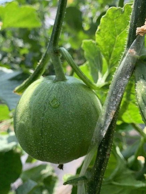 王俊凯热议不断：偶像光环下的真实与争议🔥